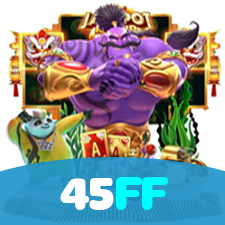 Login no 45FF