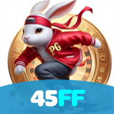 Login no 45FF
