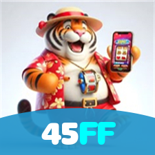 Login no 45FF
