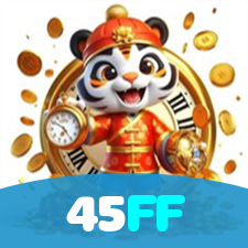 Login no 45FF