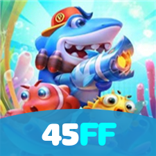 Login no 45FF