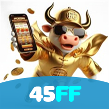 Login no 45FF