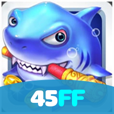 Login no 45FF