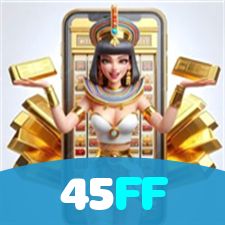 Login no 45FF
