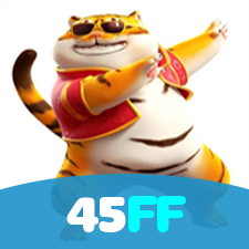 Login no 45FF