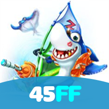 Login no 45FF